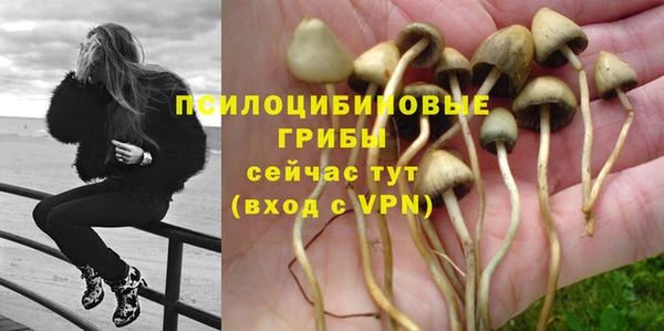 а пвп мука Алзамай