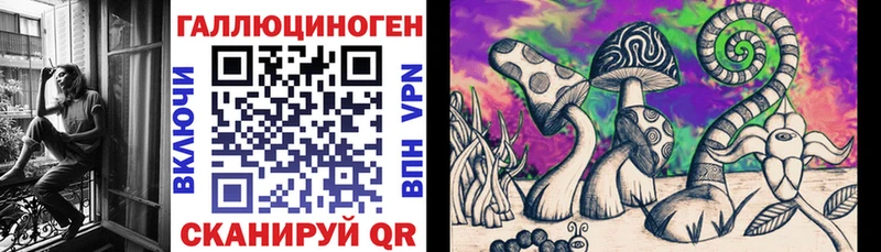 купить наркотик  Бежецк  кракен ссылки  Псилоцибиновые грибы Psilocybine cubensis 